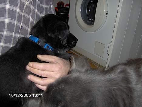 Blanding af racer Teicko - December 2005 billede 2