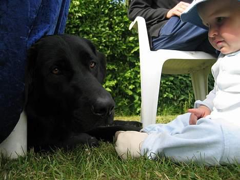 Blanding af racer Vaks - Jeg er god til at passe på børn! billede 17