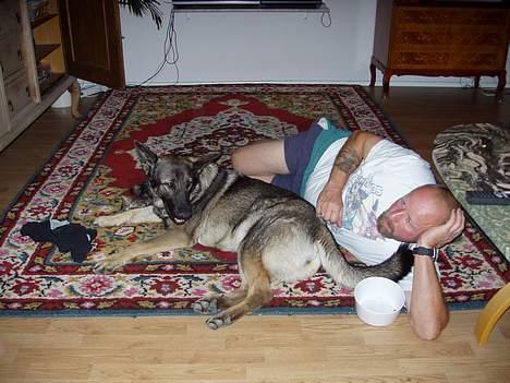 Schæferhund Amagers Asja - Så er der dømt hygge. billede 13