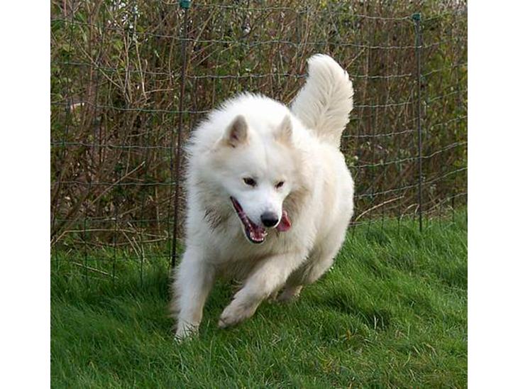 {{currentPhoto.altText}} billede {{currentPhoto.number}}