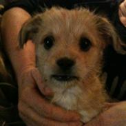 Blanding af racer Frida<3