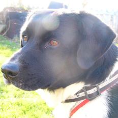 Blanding af racer Tor R.I.P d 7 nov 2013