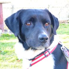 Blanding af racer Tor R.I.P d 7 nov 2013