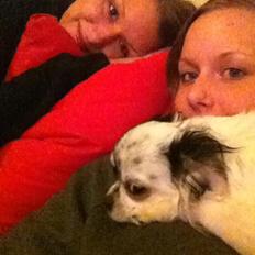 Chihuahua Valentino.