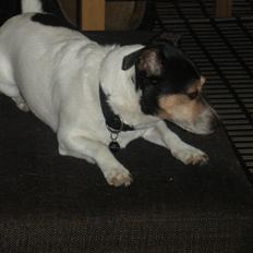 Blanding af racer Plet