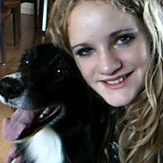 Border collie Baltzer (Himmelhund)