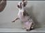 Chihuahua Mocha - High Five!
