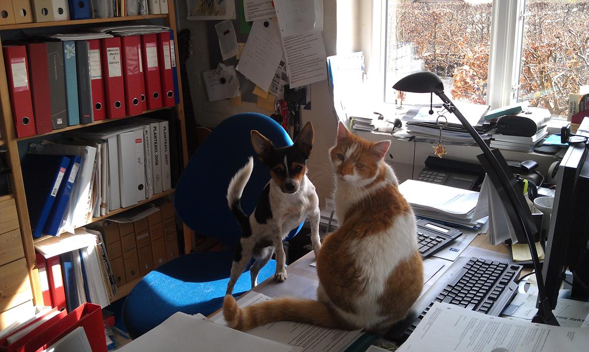 Blanding af racer Carlo - Når far ikke er hjemme, ja så må man lidt mere ;-)  billede 17