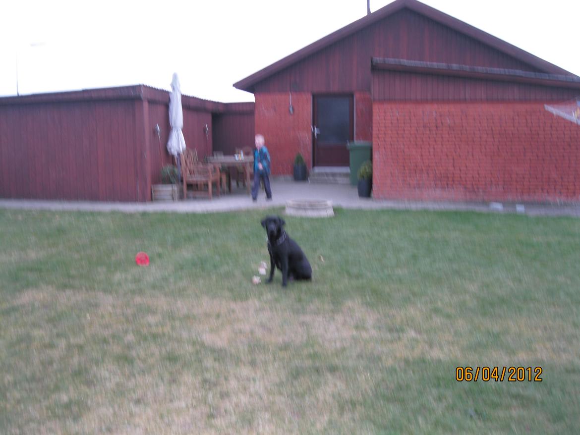 Blanding af racer Bella - April 2012

Påskeæg jagt sammen med børnene billede 5