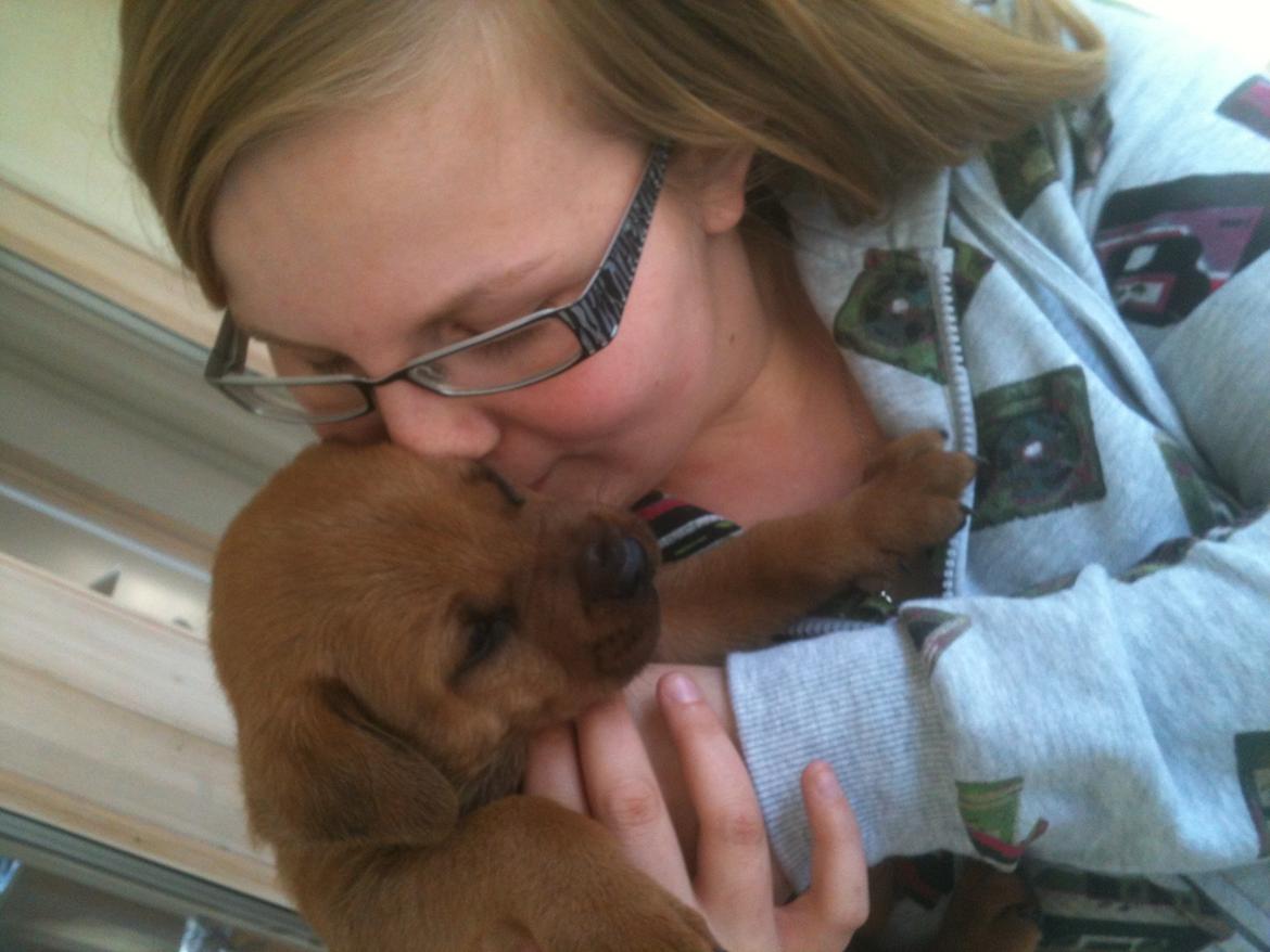 Blanding af racer Yoshi billede 9