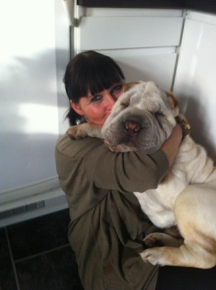 Shar pei Bonzoo Nihoo-sin - Bonzoo og mor billede 2