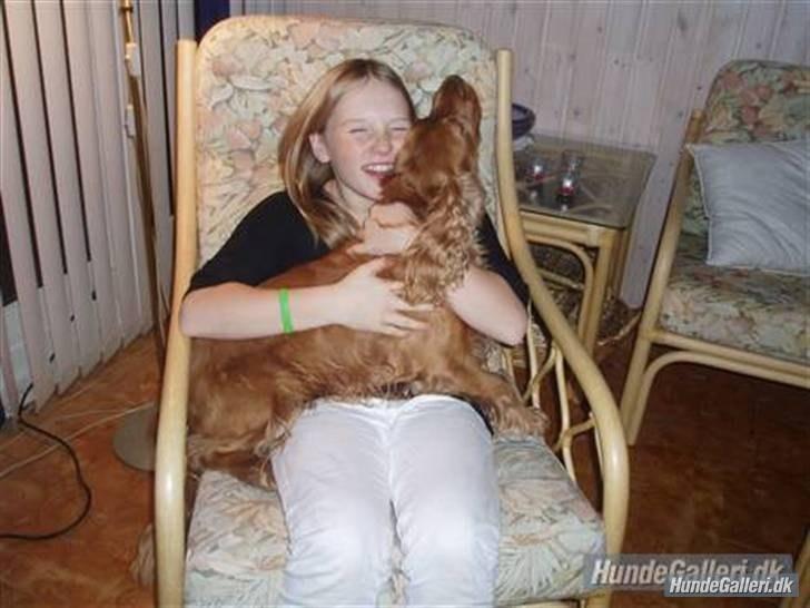 Cocker spaniel Silas  - Et gamelt billede af mig og Silas :P billede 5