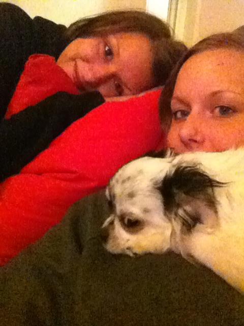 Chihuahua Valentino. - Putter på sofaen :) <3 billede 3