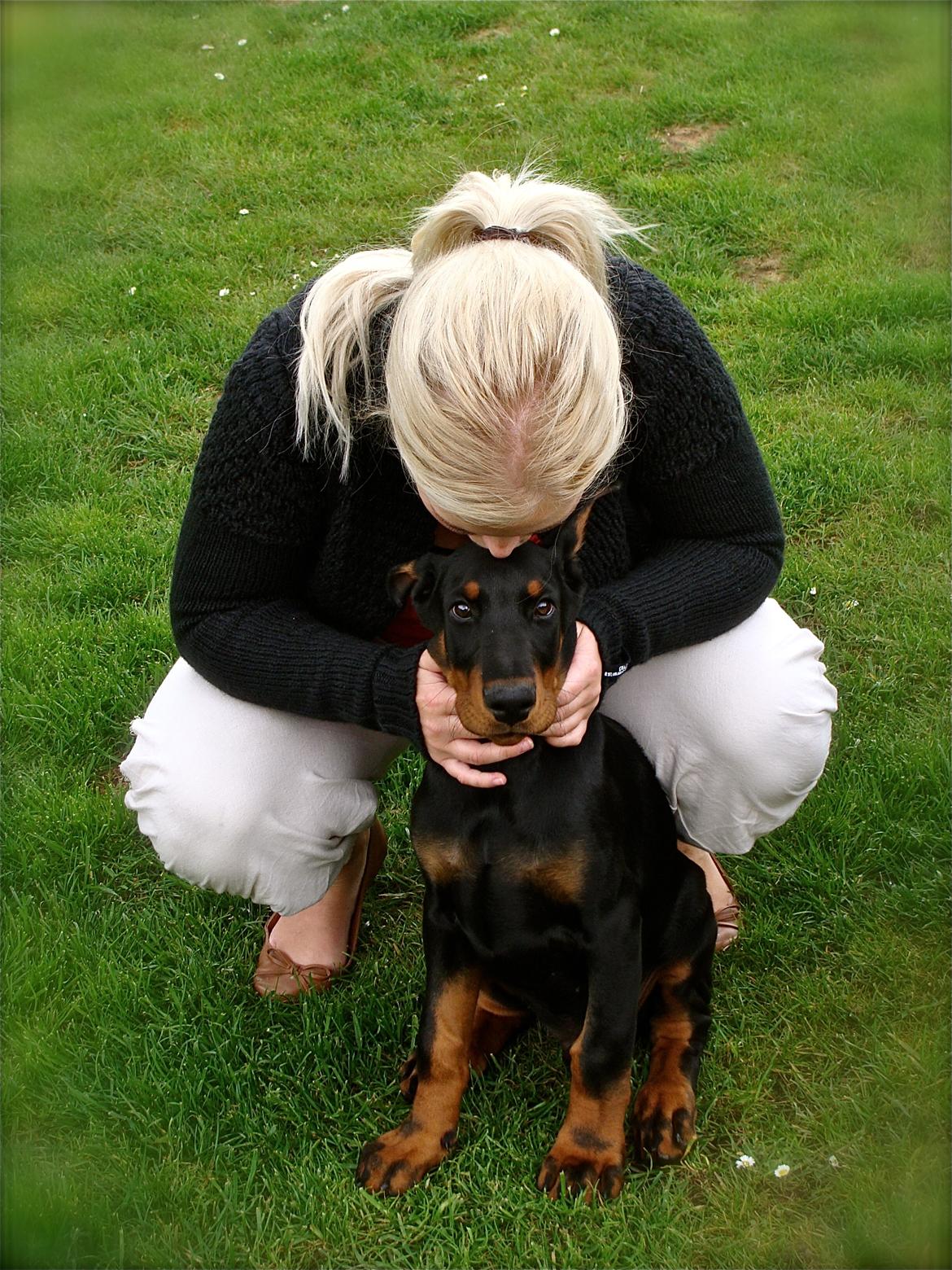 Dobermann Timoteo di Perlanera billede 18