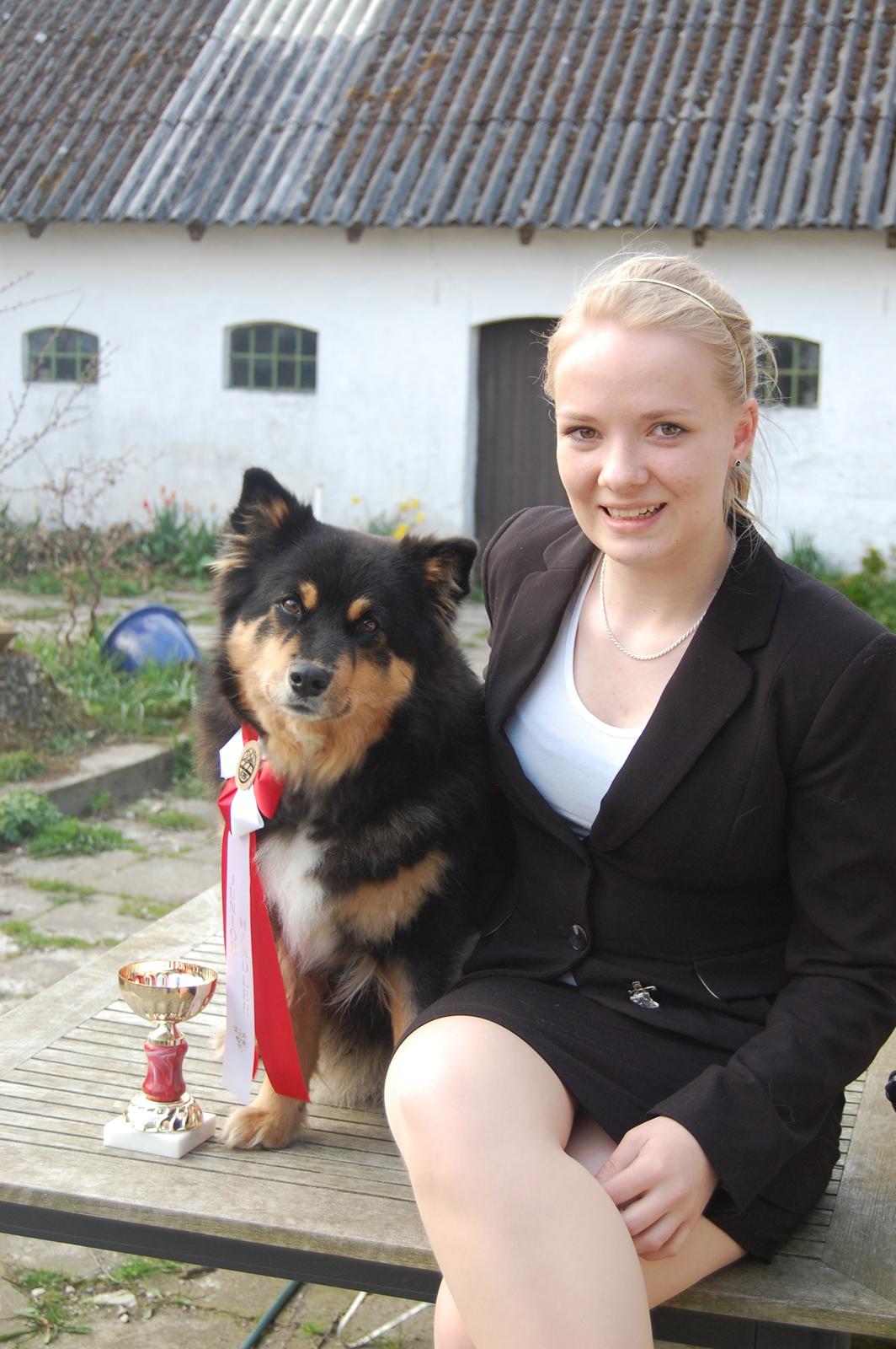 Finsk lapphund DKCH Fjällfarmens Oliwia - Stolt hund og ejer! 
1. plads Juniorhandling, SPK-Bredsten d. 21 April 2012 billede 28