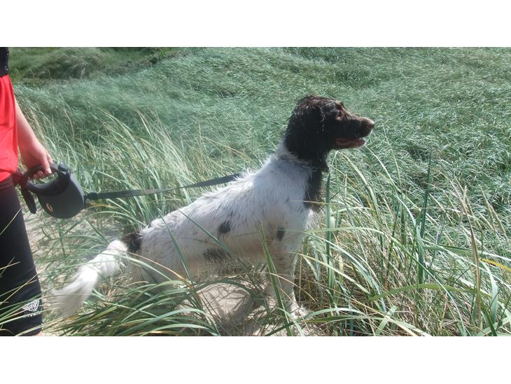 {{currentPhoto.altText}} billede {{currentPhoto.number}}