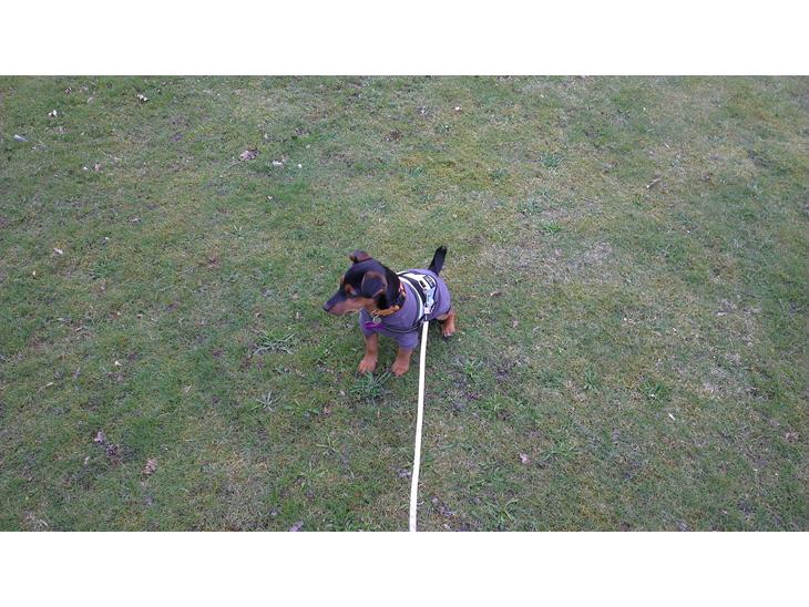 {{currentPhoto.altText}} billede {{currentPhoto.number}}