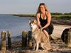 Siberian husky Ariel/Grå