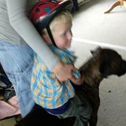 Blanding af racer Bølle