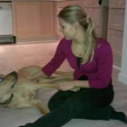 Blanding af racer Basco