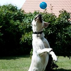 Blanding af racer Rofus