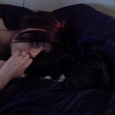 Blanding af racer Kenzo ( Don Keno ) 