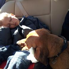 Blanding af racer Basco