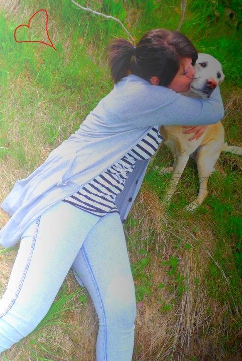 Labrador retriever Chili billede 5