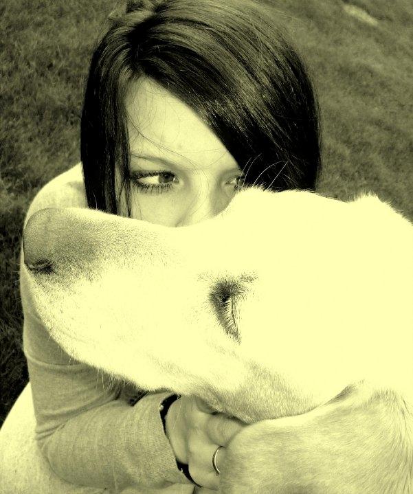 Labrador retriever Chili billede 6