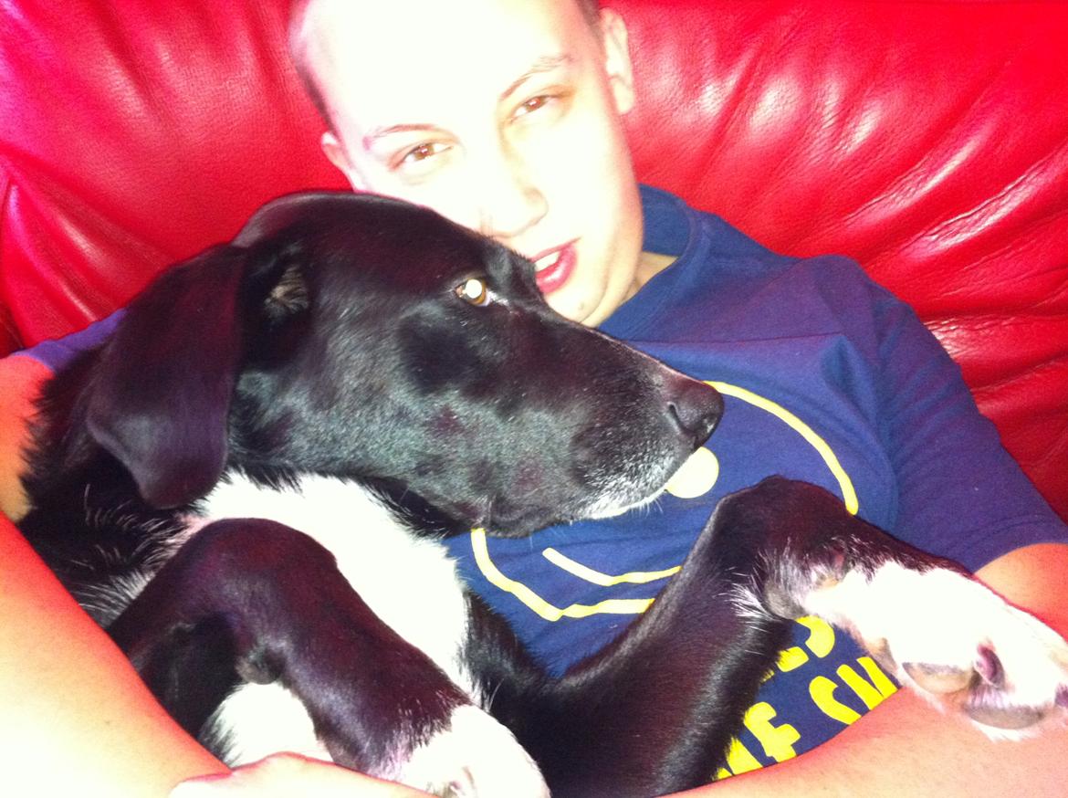 Blanding af racer Dede billede 4