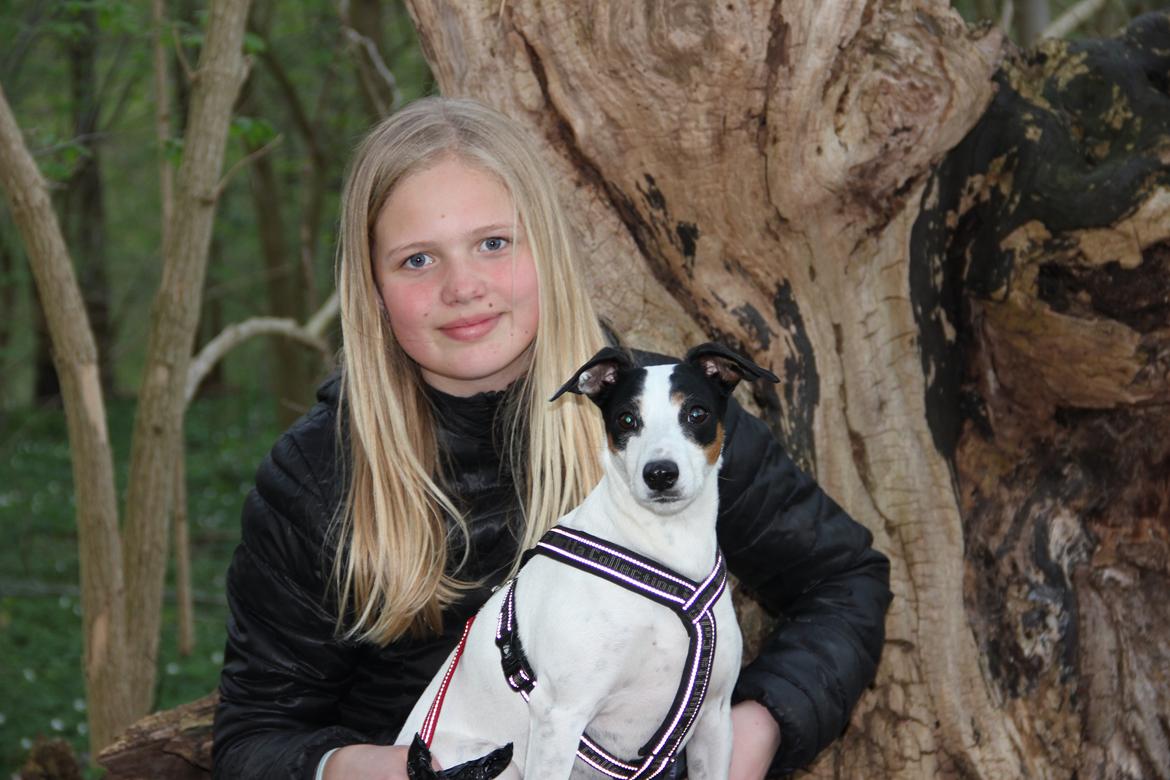 Dansk svensk gaardhund Frida - Frida, Jeg Elsker Dig <3
Der var så Frida's profil. Smid gerne en kommentar og bedømmelse;)
 billede 20