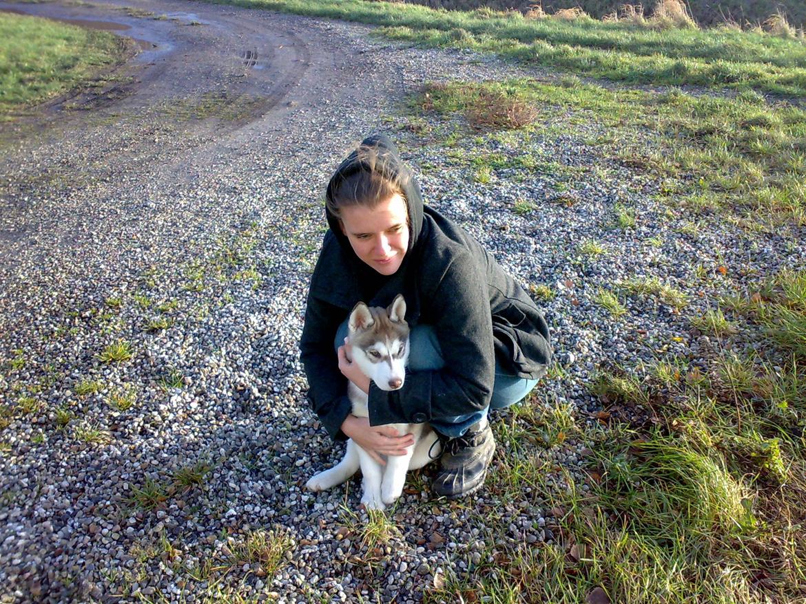 Siberian husky Ariel/Grå - Her er vi på Lolland, hendes første tur sådan rigtig ude, det hele var rigtig farligt.  billede 2