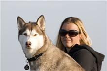 Siberian husky Ariel/Grå - Endnu et strand billede, far er fotograf. Lur ikke på mig..  :o)  billede 3