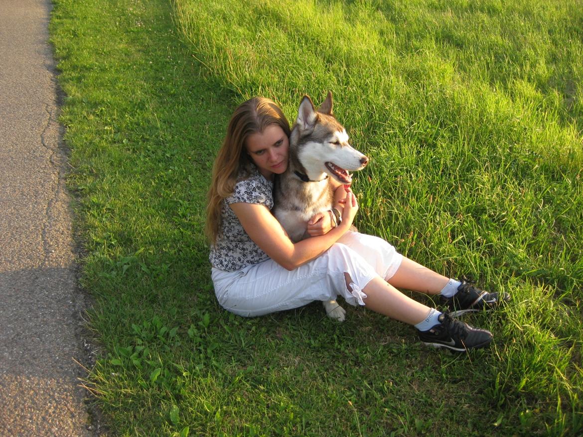 Siberian husky Ariel/Grå - Ariel og jeg på besøg hos min far på Lolland, Ariel er en hyggenumse.  billede 5