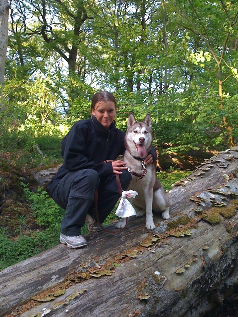 Siberian husky Ariel/Grå - Ariel og jeg i hundeskoven, Ariel vil dog heller hygge med mor på træstammen. Far er fotografen som altid billede 13