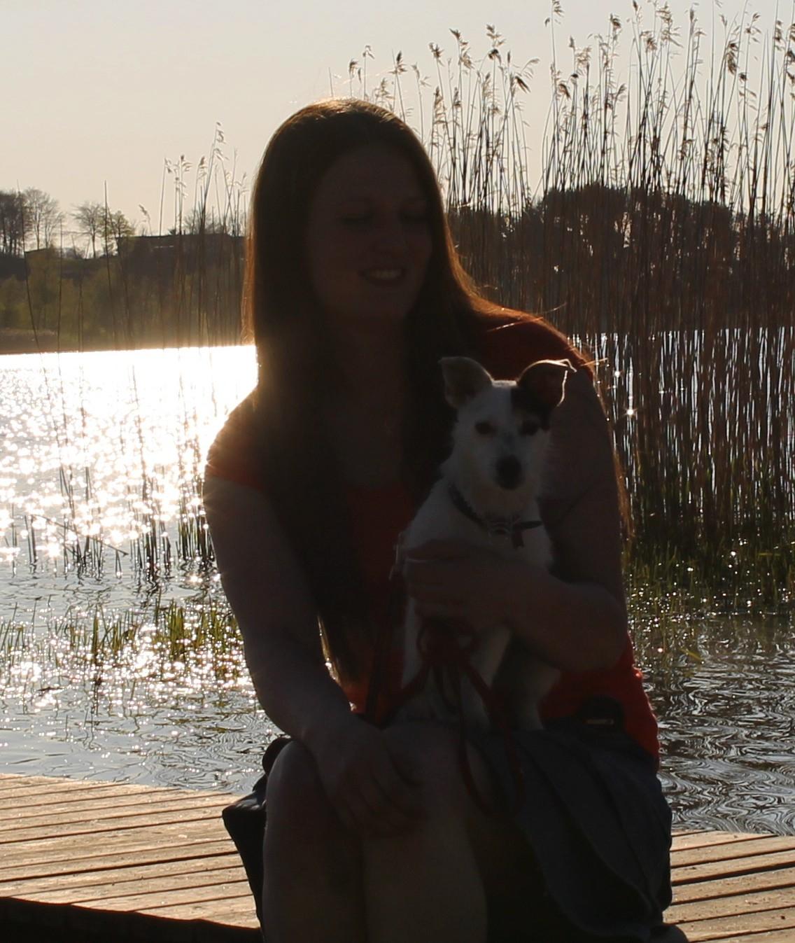 Jack russell terrier Calliston's Maddie billede 16