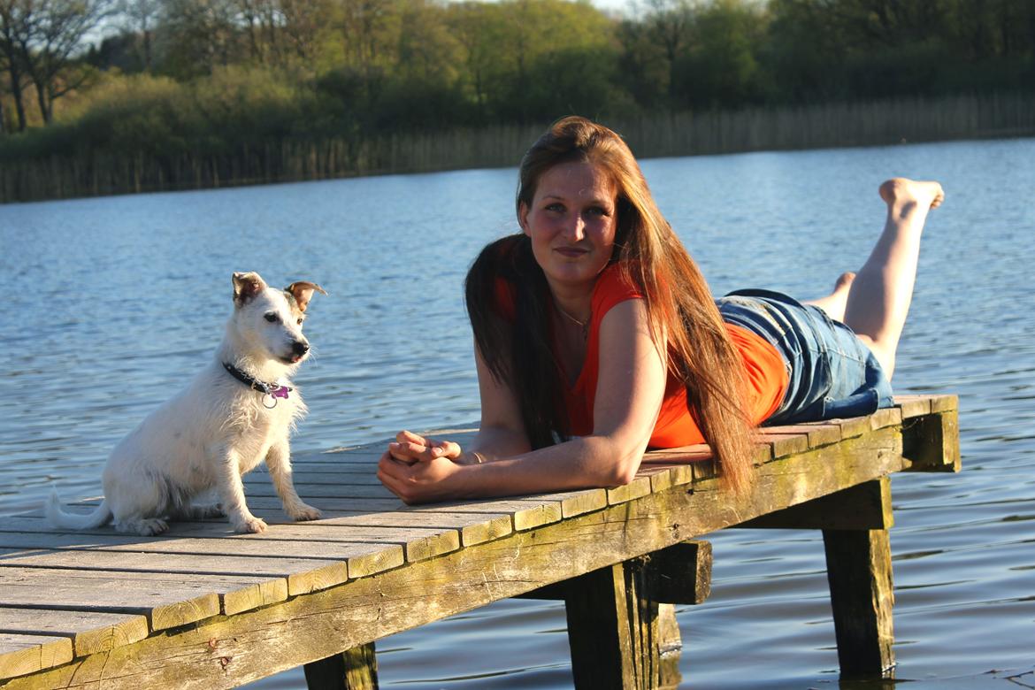 Jack russell terrier Calliston's Maddie billede 17