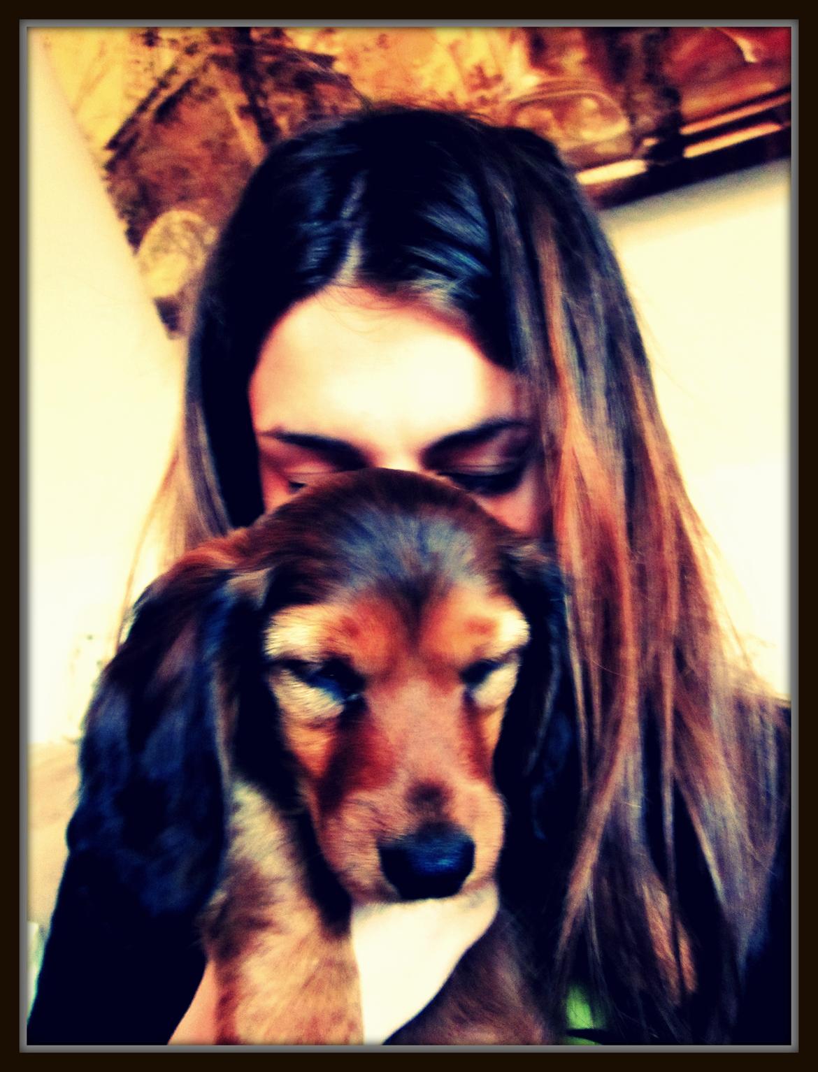 Dværggravhund Vibes Fabian - Fabian og jeg :) billede 2