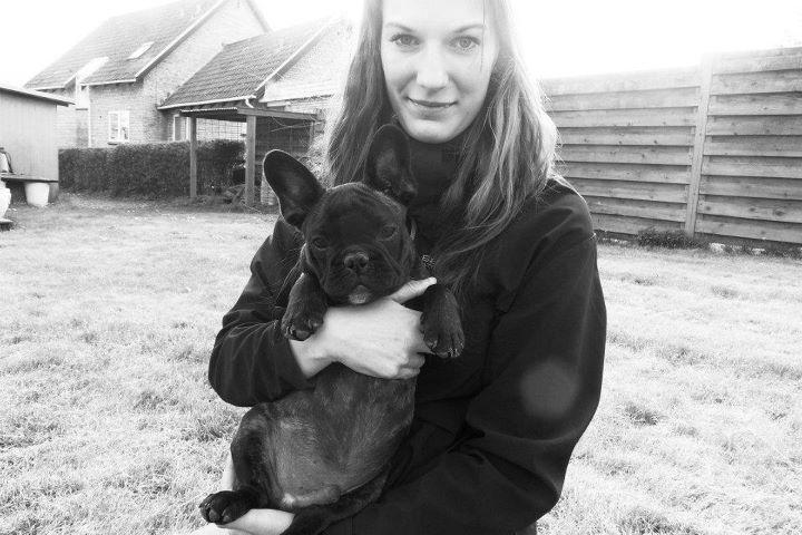 Fransk bulldog Wiufgaard´s Cléo billede 18