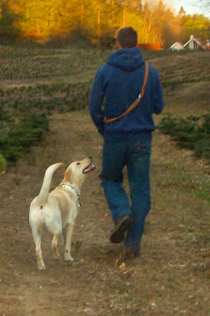 Blanding af racer Rofus - Rofus og Morten d. 9 Maj 2010 billede 10