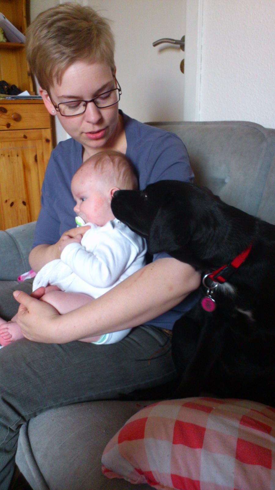 Blanding af racer Snowie - ÅH baby må jeg lige smage på dit øre billede 11