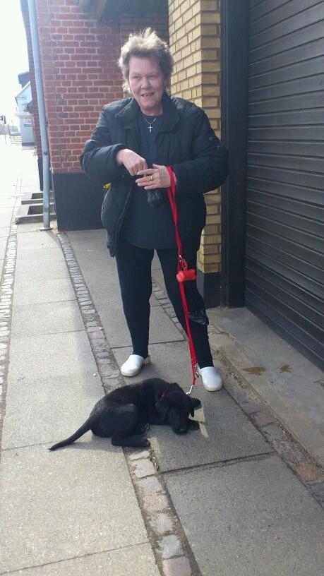 Blanding af racer Snowie - JEG GIDER IKKE GÅ^MERE MOAR billede 12