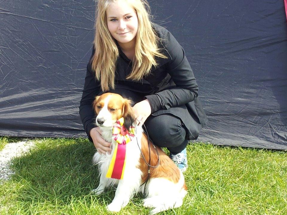 Kooikerhondje | Hector, Dansk Champion. - Dansk Champion, Racevinder og kvalificering til Craft. <3 billede 18