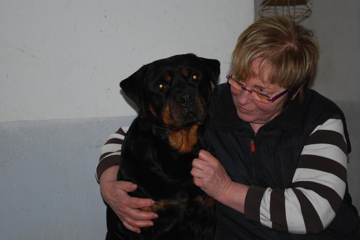 Rottweiler Laica - Laica's tyske mødre billede 2