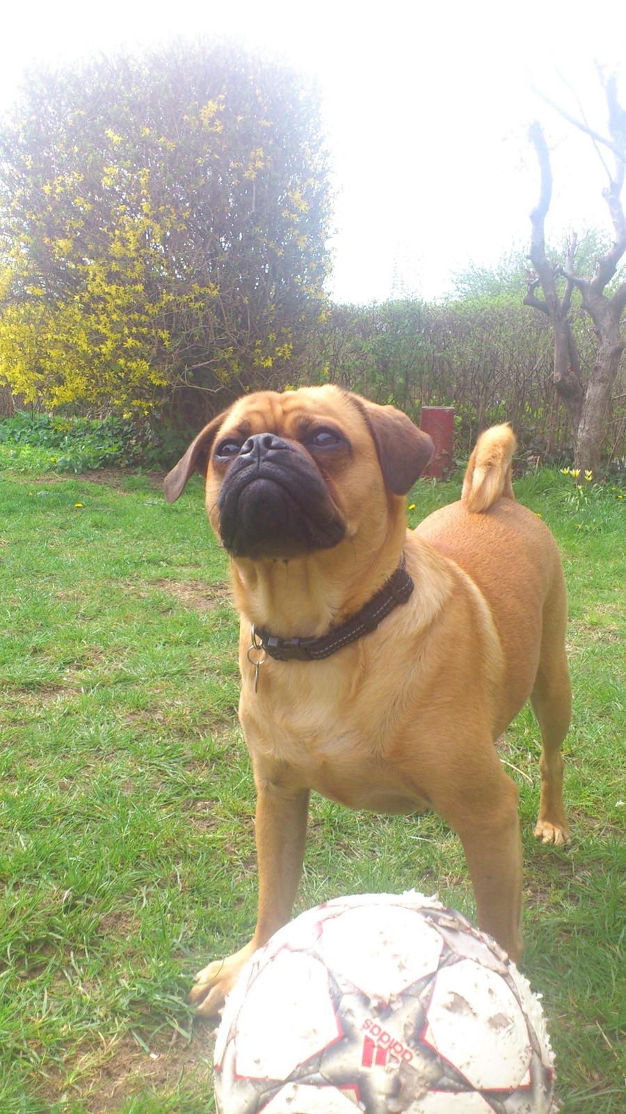 Blanding af racer Anton - Talkin to me? billede 1