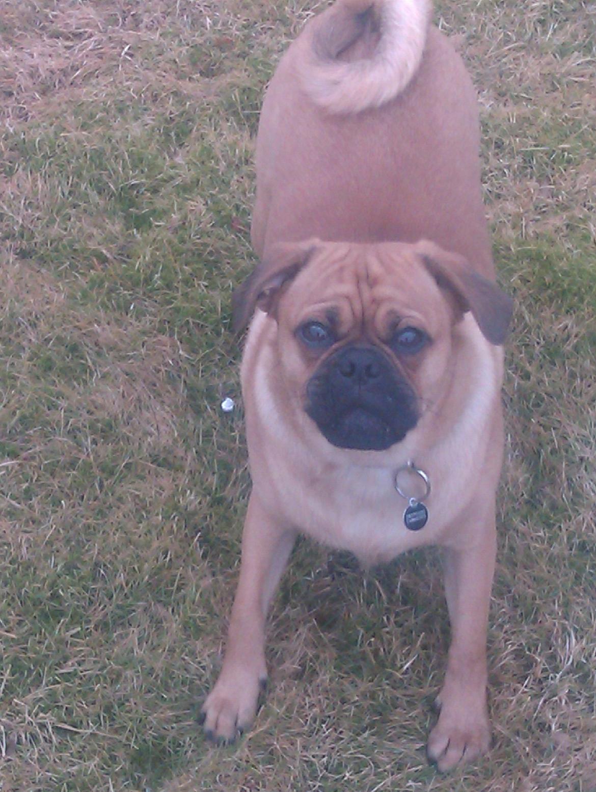 Blanding af racer Anton - Skal vi lege? billede 10