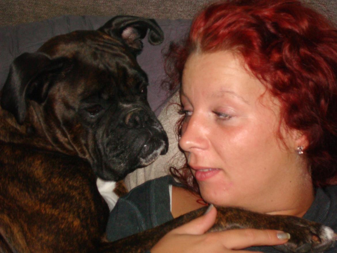 Boxer Sera - Himmelhund billede 10