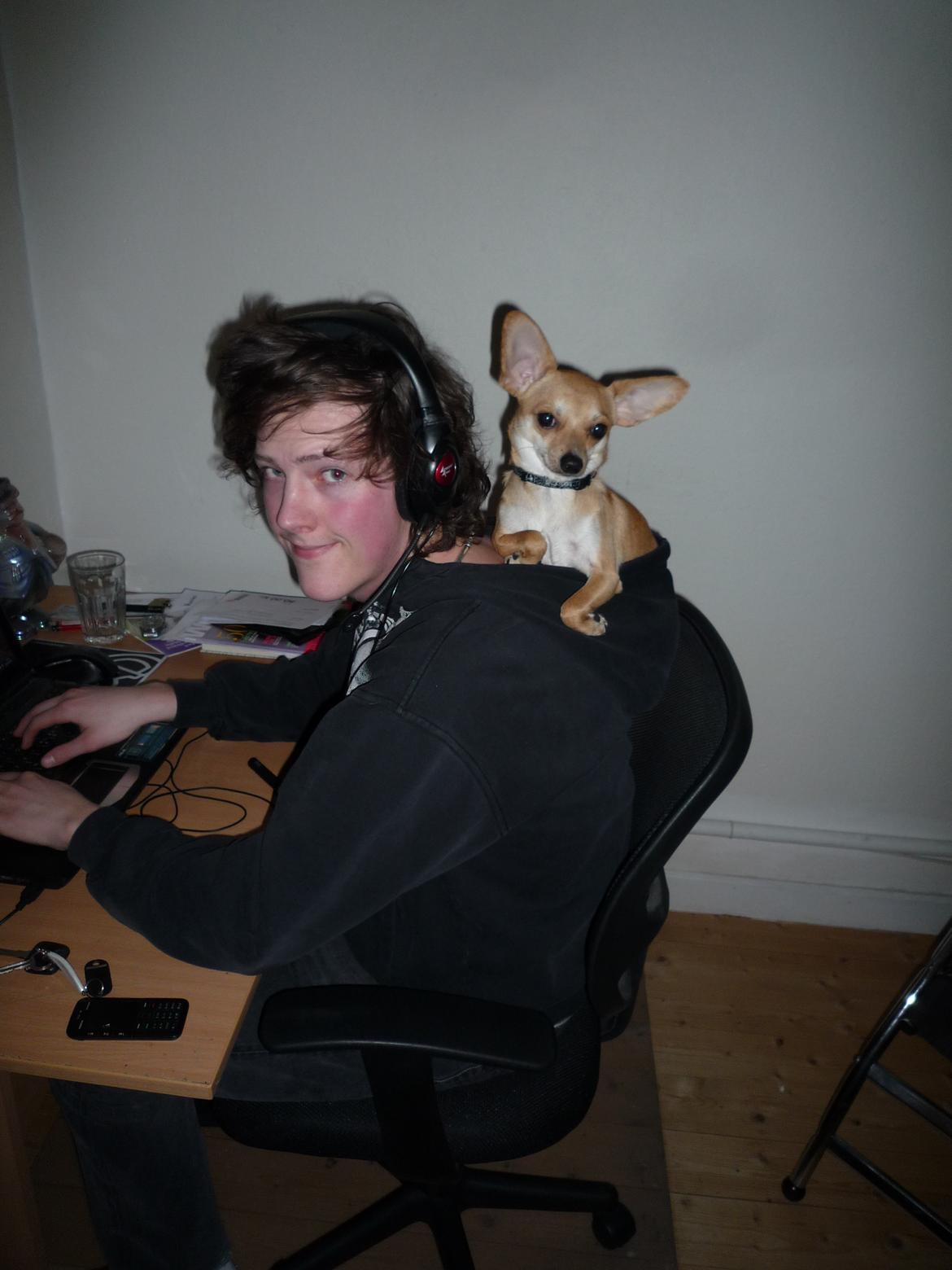 Blanding af racer Gizmo - Vi sidder godt og holder udkig fra far´s hue billede 3