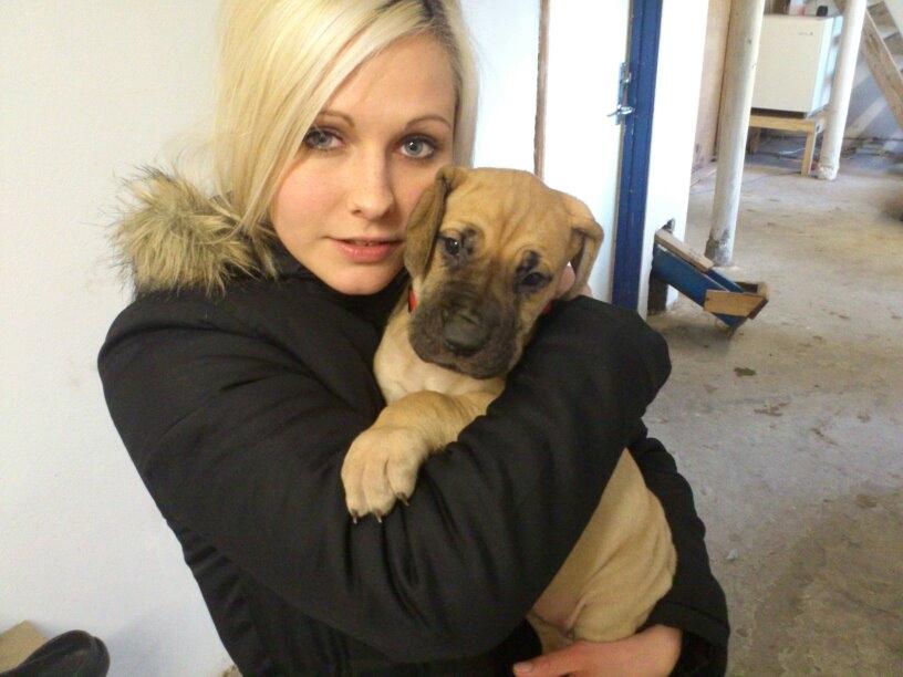 Grand danois Liva - mig og min mor :) billede 3