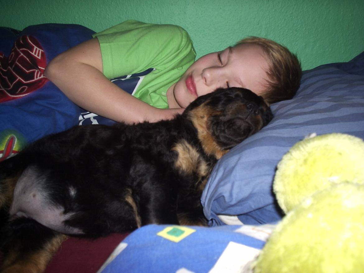 Rottweiler Mollie<3 |Molsen|<3 R.I.P Min trold..<3 - Hendes sidste hvalp<3 billede 49